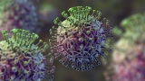 Flu ‘gathering speed’ across US as health officials prepare for potentially rough season