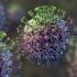 Safeguard Your Hearing | Worldhealth.net Anti-Aging News