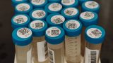 Wastewater surveillance provides crucial COVID data, but also carries privacy concerns: scientists