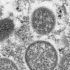 Rising cases elsewhere in Ohio may hit Cincinnati next