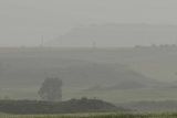 99% of world’s population breathes poor-quality air, World Health Organization says