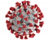 CDC: 53% of Ohioans may have already had COVID-19