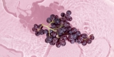 Resveratrol Health Benefits and Foods: What to Know About the Antioxidant Found in Red Wine