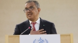 Nearly 50% of human population suffers from oral diseases, according to WHO