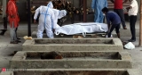 WHO says global COVID cases, deaths declined again last week, Health News, ET HealthWorld