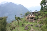 Lessons in rural proofing of health policies, strategies, plans and programmes