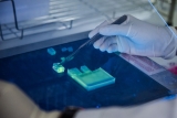 GISAID and WHO Global Influenza Programme Bioinformatics Workshop held between 27-29th September 2022 in Belfast, United Kingdom