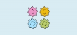 Vaccine efficacy, effectiveness and protection