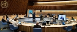 IOAC statement at Seventy-fourth World Health Assembly, 25 May 2021