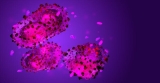 Why doesn’t monkeypox have a new name yet?