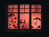 Sleep quality may decline as global temperatures rise