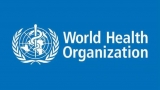 WHO calls for global governance against COVID pandemic