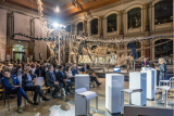 One Health Joint Plan of Action launched and presented by WHO and the Quadripartite partners
