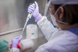 Canada reports 6 XE cases, new COVID strain