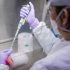 Covid-19 news: Half a billion cases recorded since pandemic began