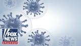 World Health Organization pushes for lab leak investigation