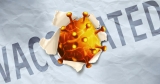 Study examines severe breakthrough cases of COVID-19